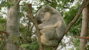 La Gold Coast, Australie