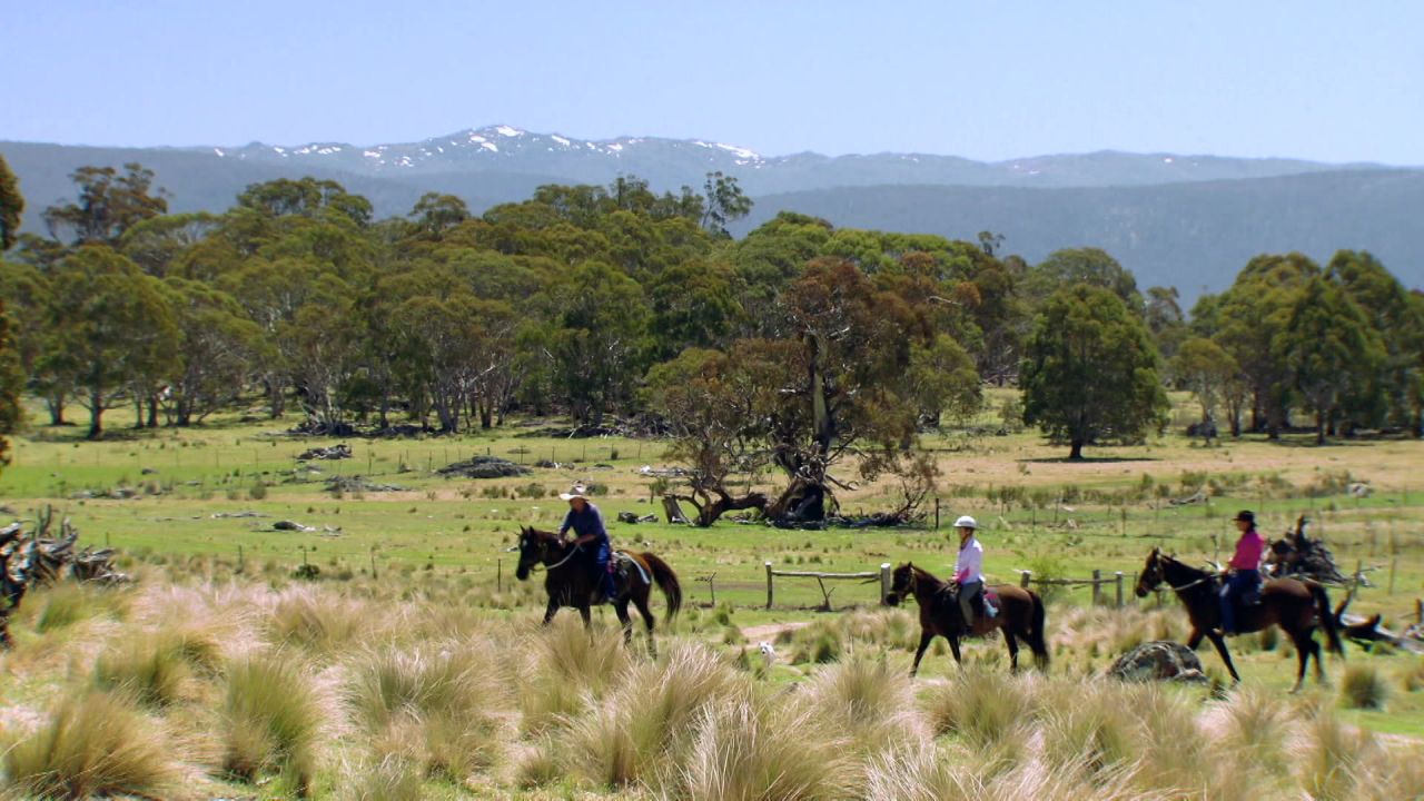 Les meilleures destinations sauvages en Australie