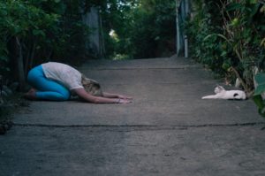 Zoom sur le cat yoga
