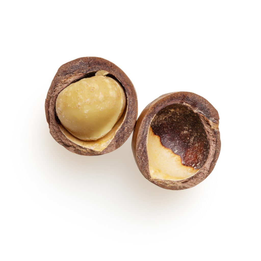 Noix de macadamia