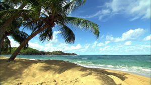 Baie Baraban - Martinique