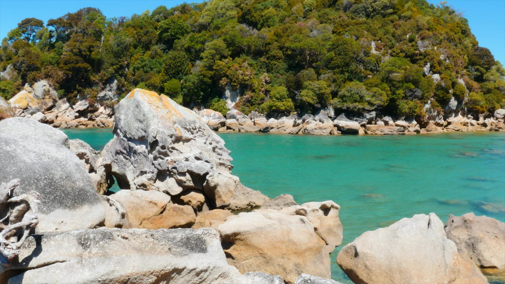 Baie Kaiteriteri Tasman - Nouvelle Zélande