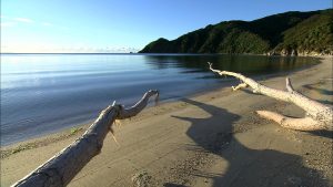 Wainui Bay - New Zealand