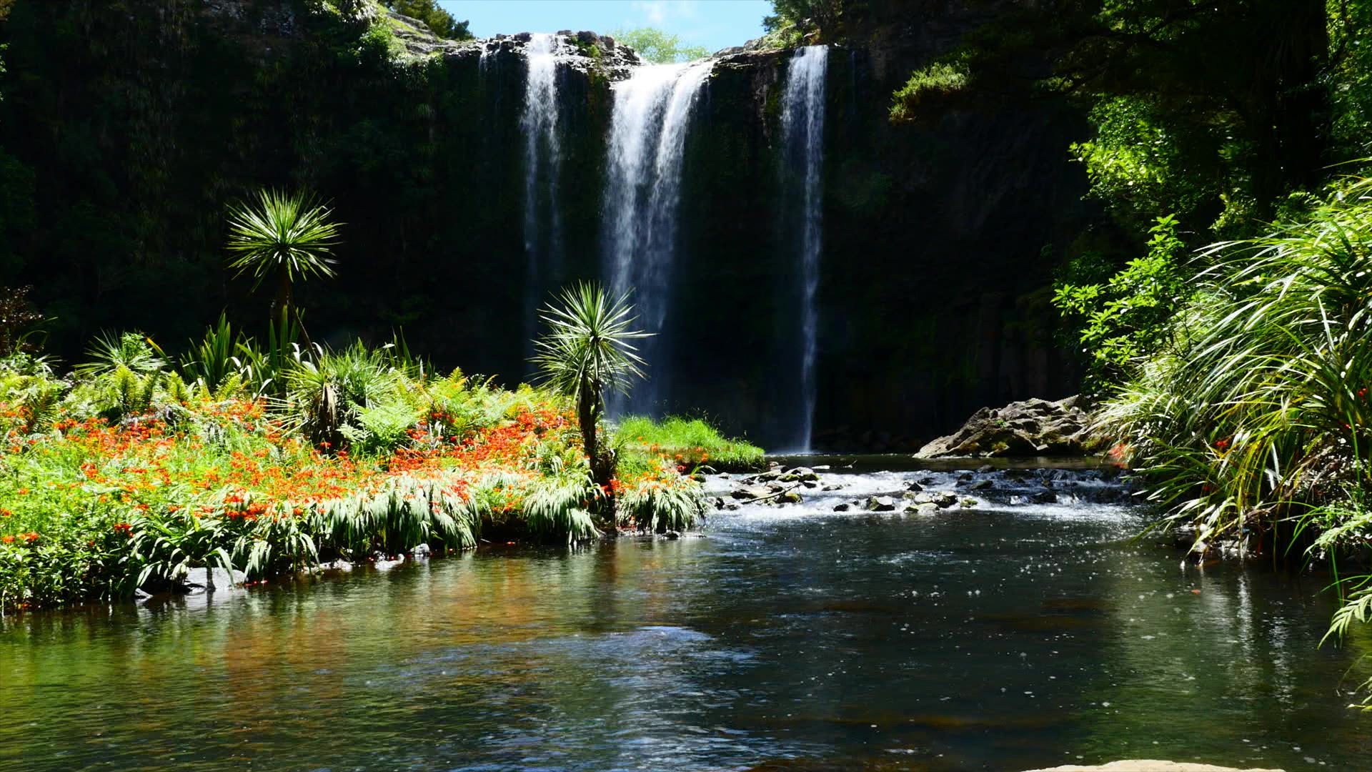 Cascade Whangarei - Nouvelle Zélande