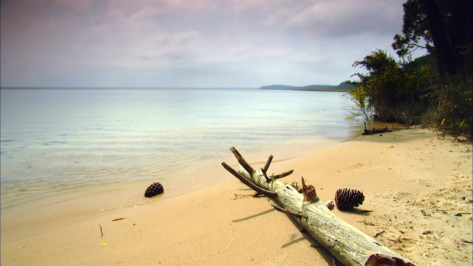 Cazaux - Gironde