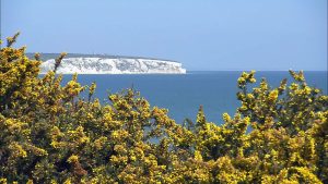 Falaise Culver - Grande Bretagne