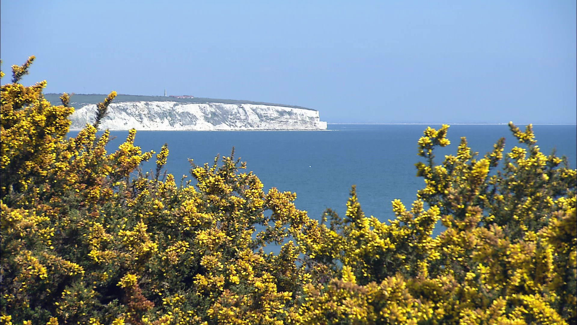 Culver Cliff - Great Britain