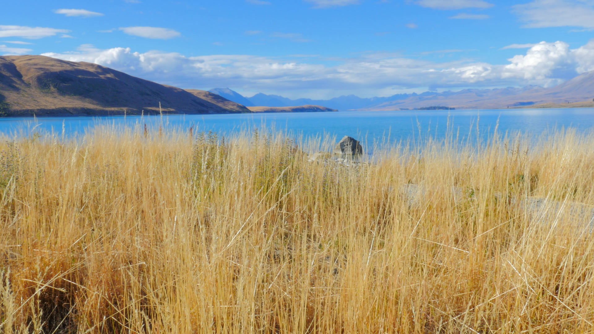Lac Tekapo - Nouvelle Zélande