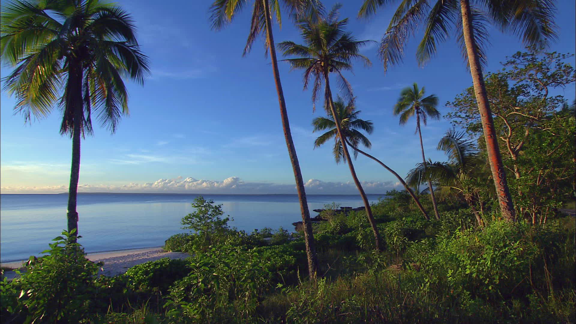 Lifou Island - New Caledonia