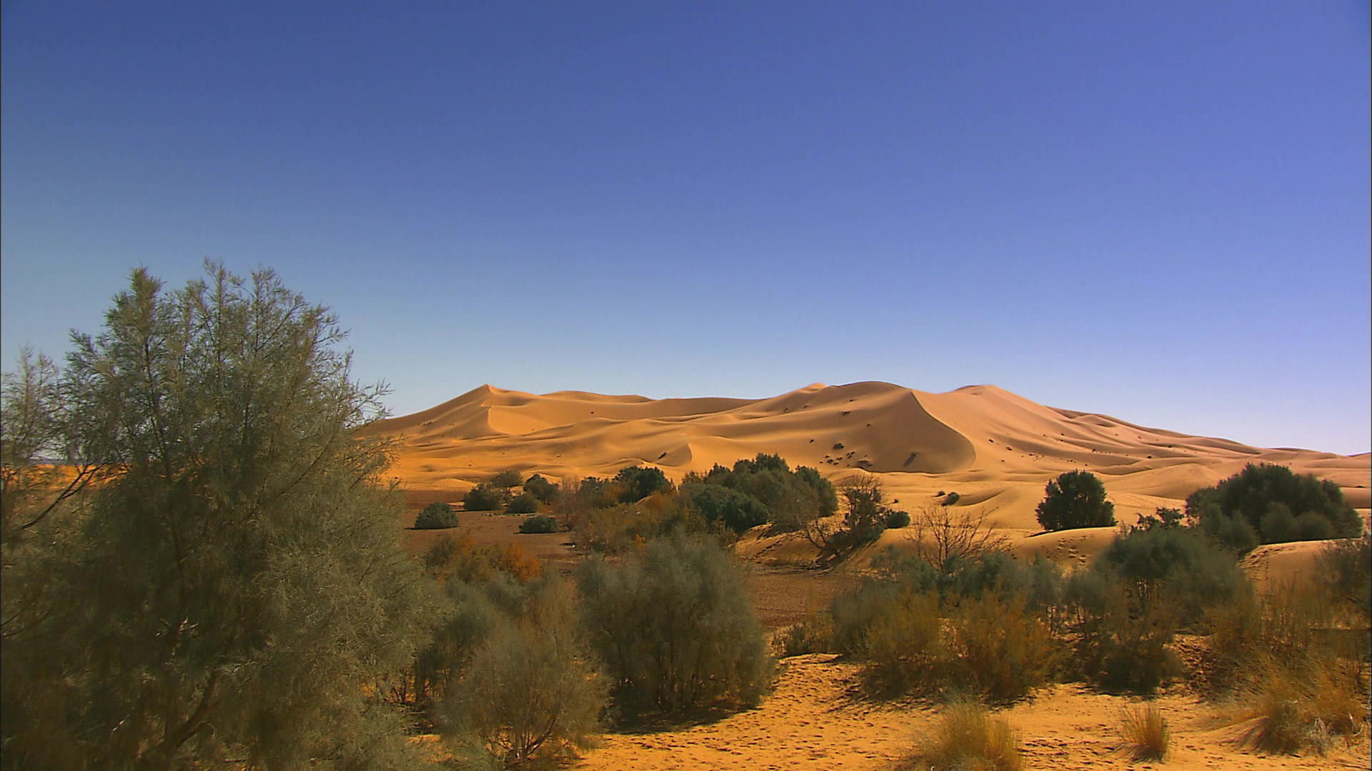 Merzouga  - Maroc