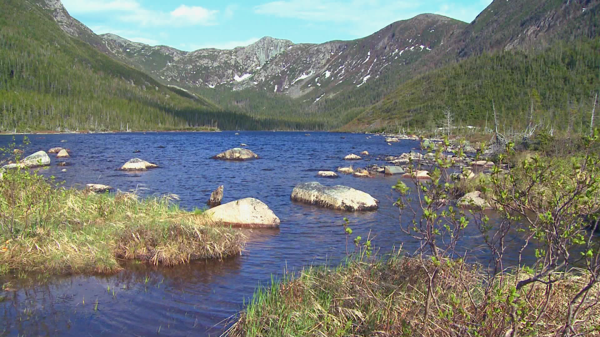 Parc National Gaspesie - Canada