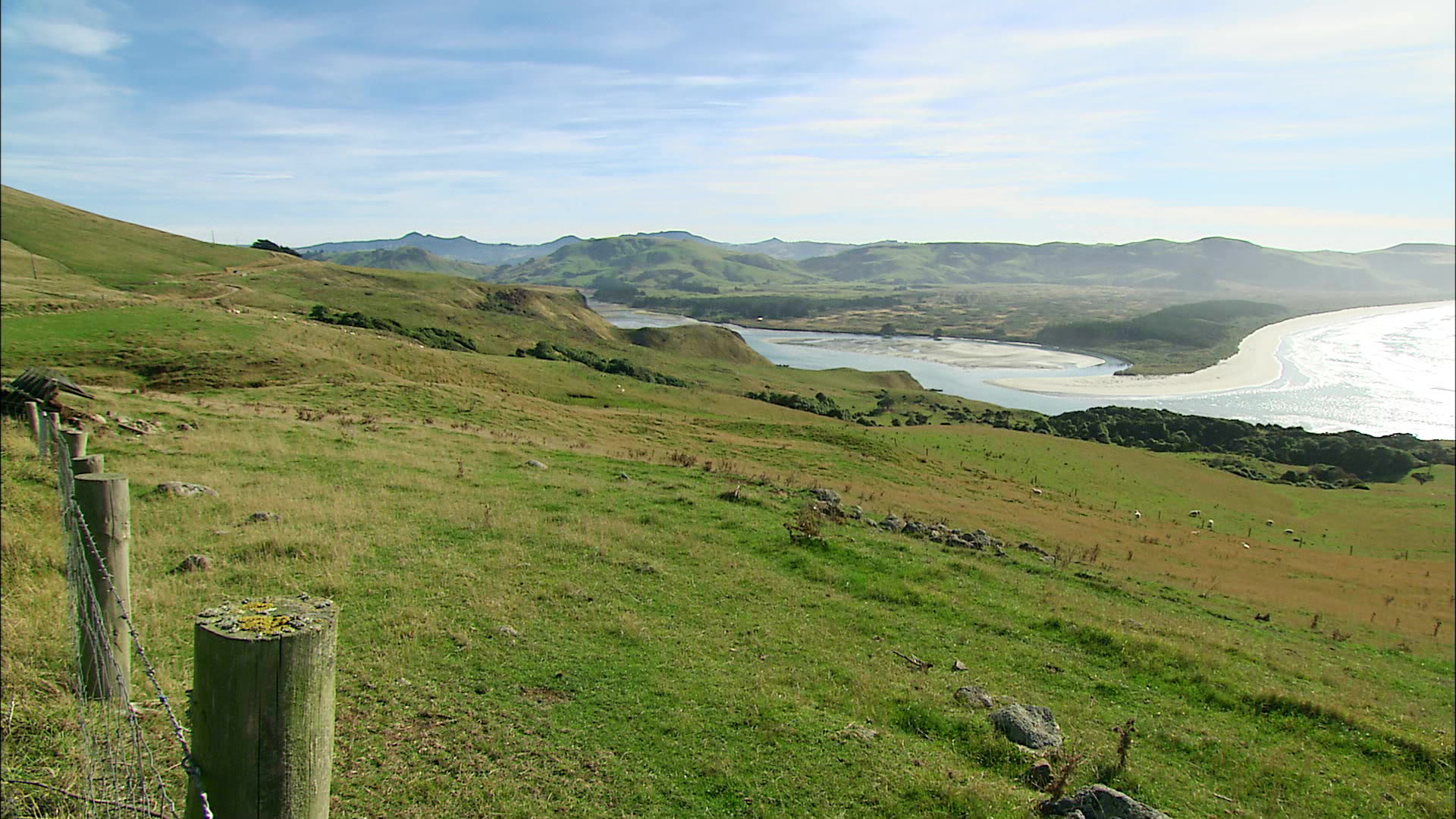 Otago Peninsula - New Zealand