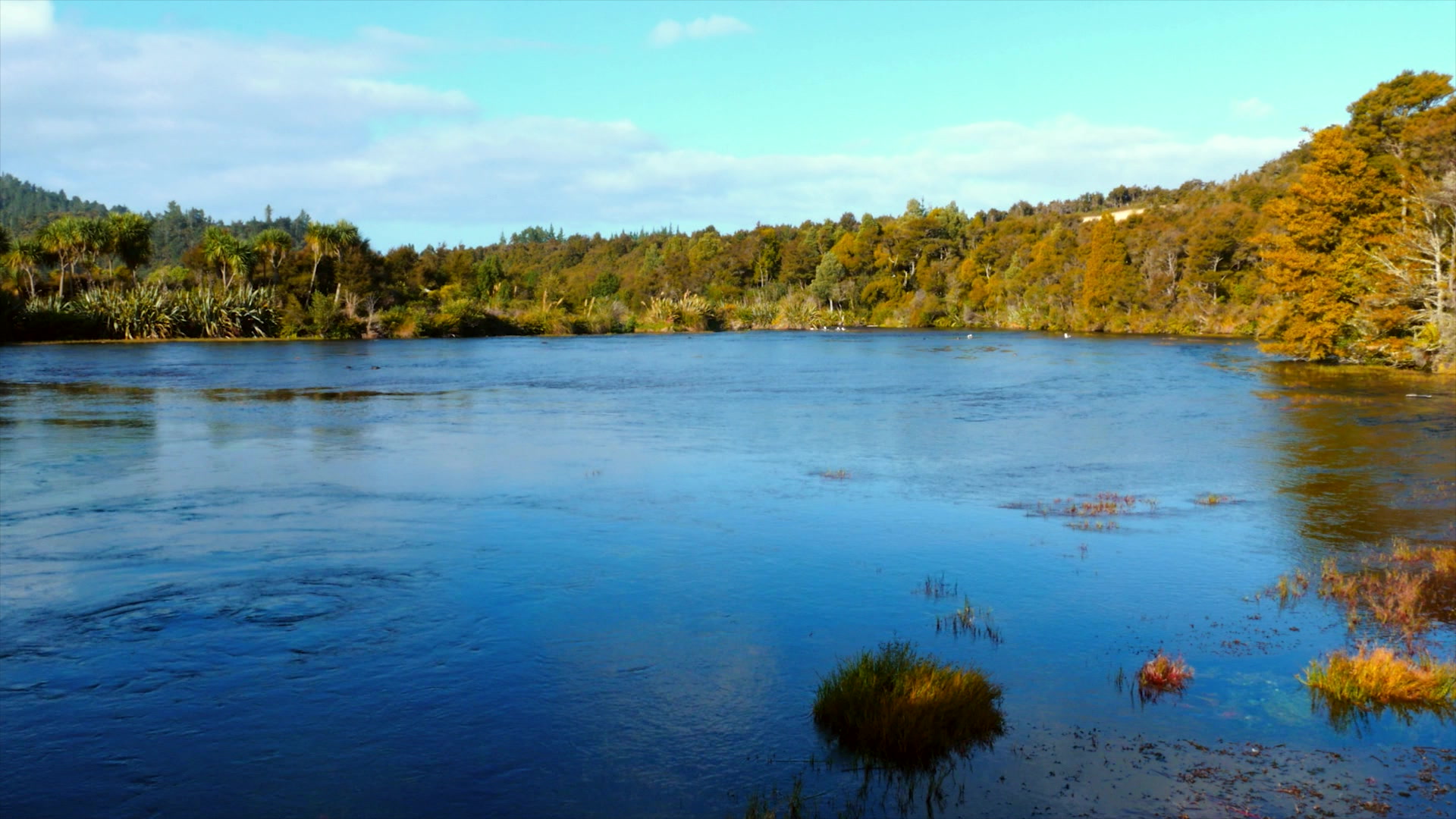 Te Waikoropupu Springs - Nouvelle Zélande