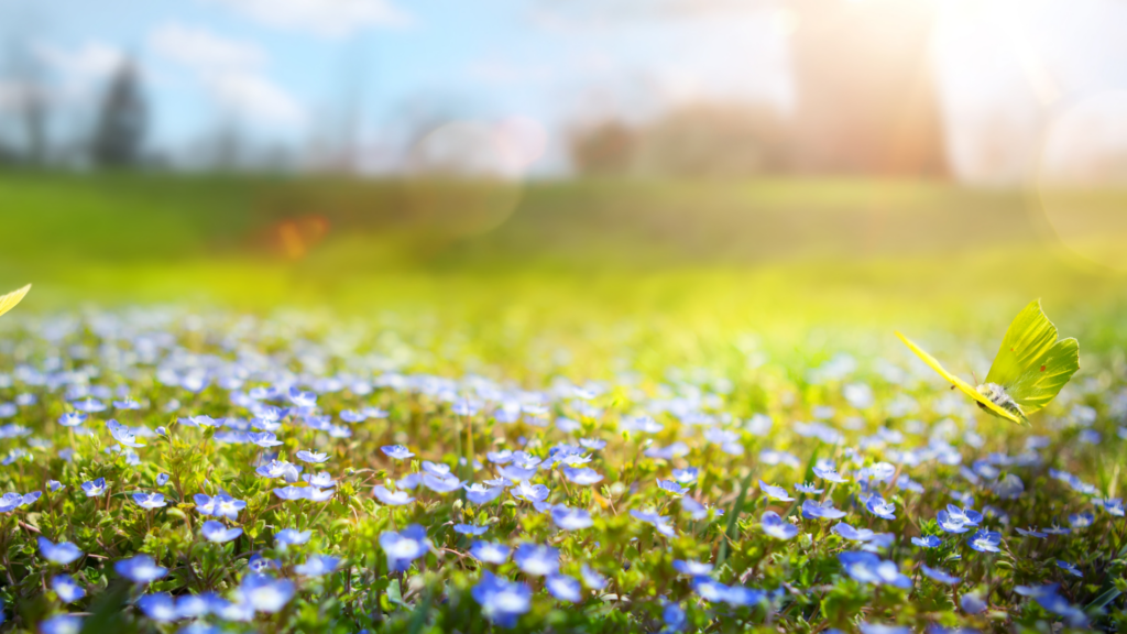 Les 5 avantages que présente l'arrivée du printemps