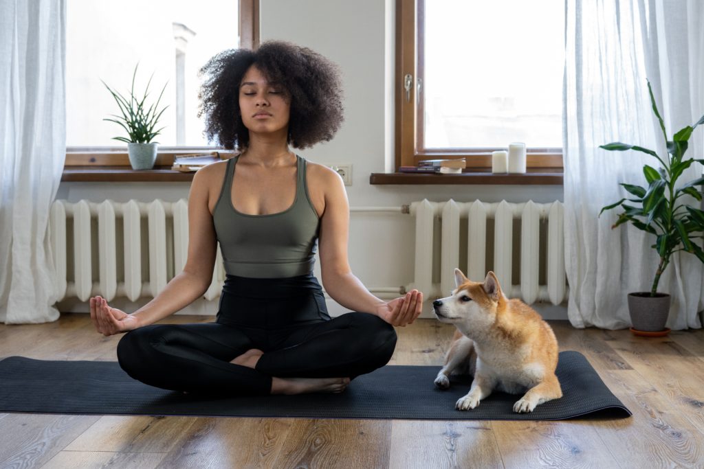 Zoom sur le Doga, ou yoga avec son chien