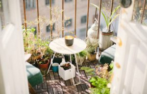 10 conseils pour bien entretenir un potager sur son balcon