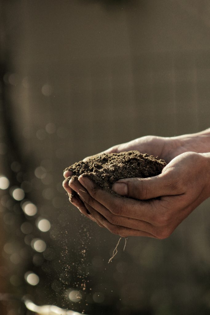 Comment faire un bon compost ?