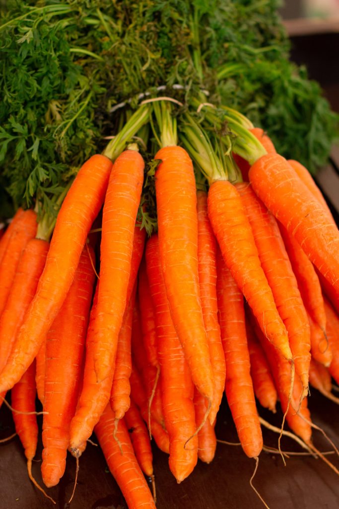 carottes légumes du mois de juin

