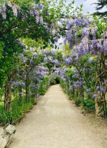 5 gestes écologiques à appliquer dans son jardin