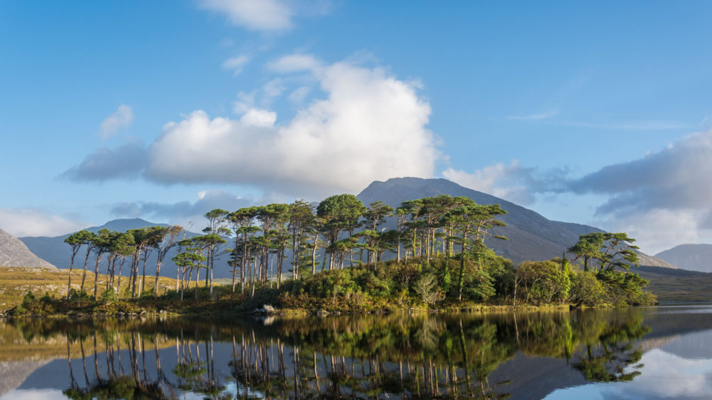 Lacs du Connemara