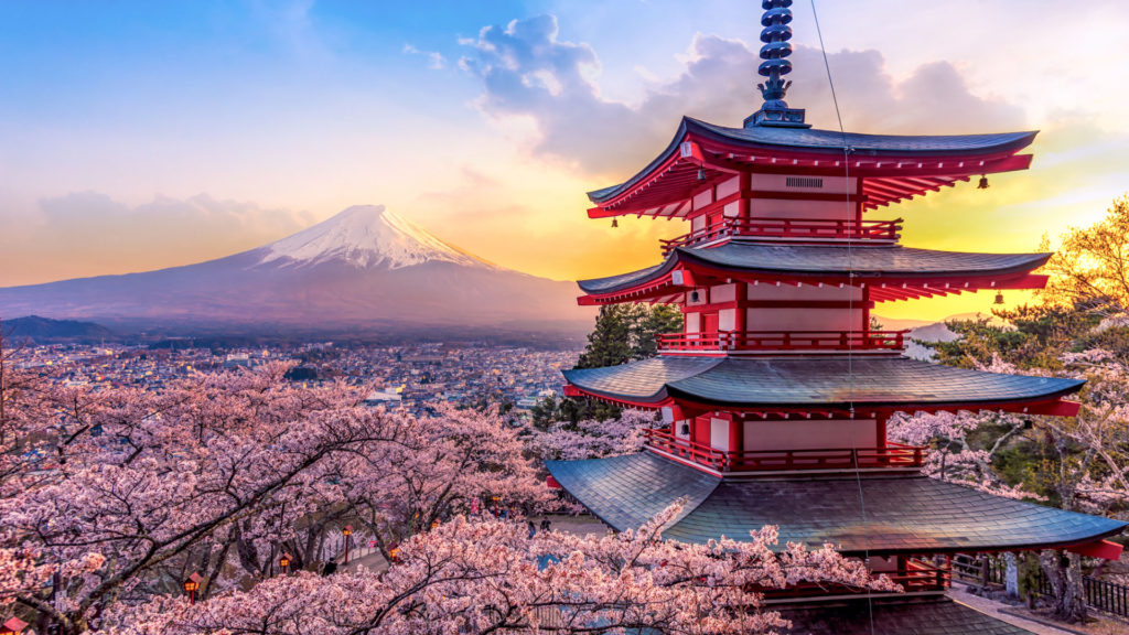 Temple et cerisiers en fleurs au Japon