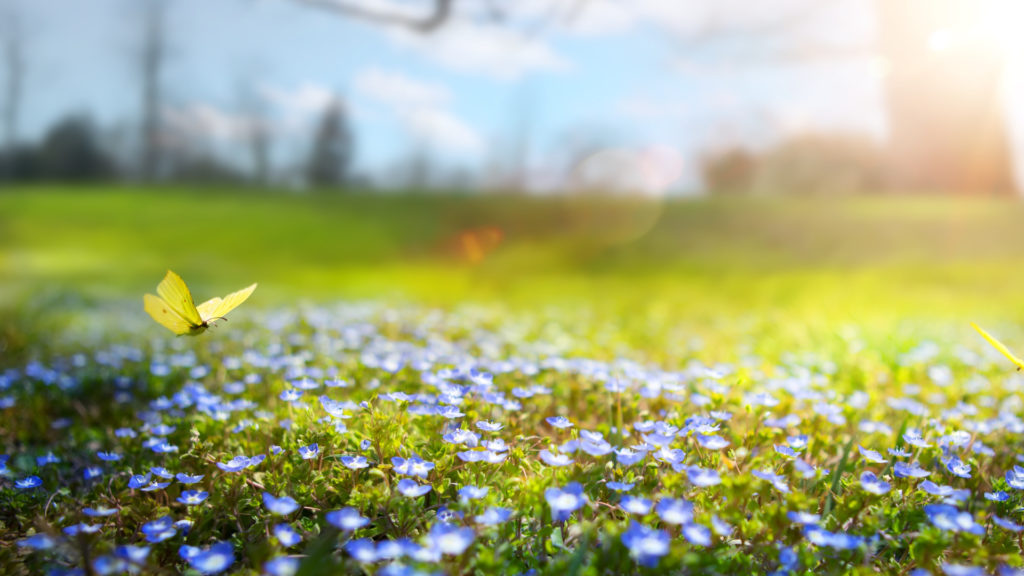 Où partir en voyage au printemps ?