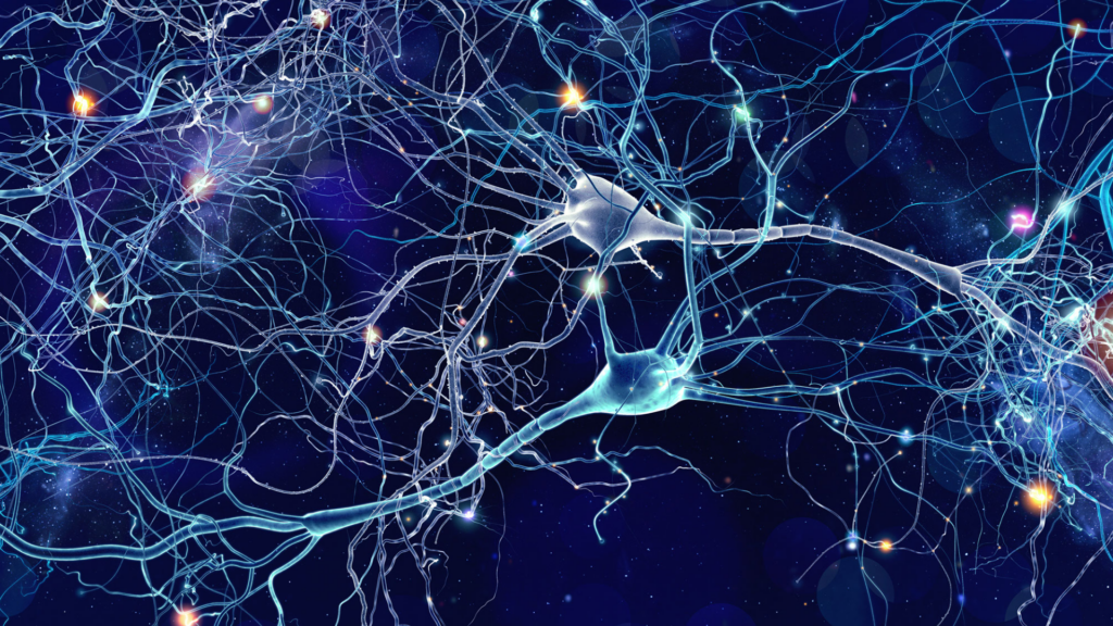 Neurones
