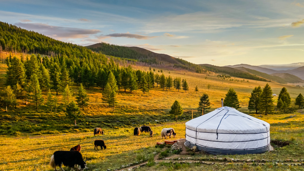 A night in a yurt: original activities to recharge your batteries