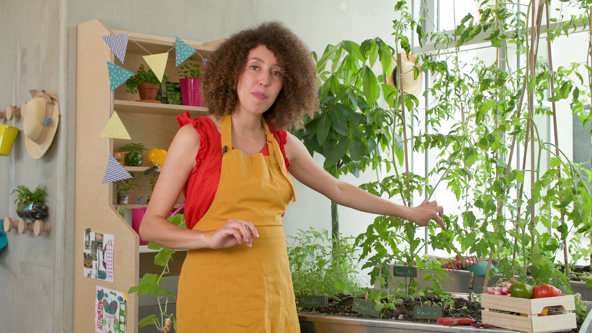 Tailler un pied de tomates