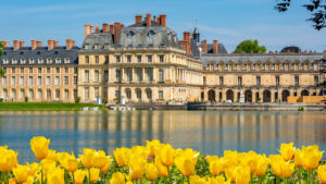 Fontainebleau : les secrets de son terroir