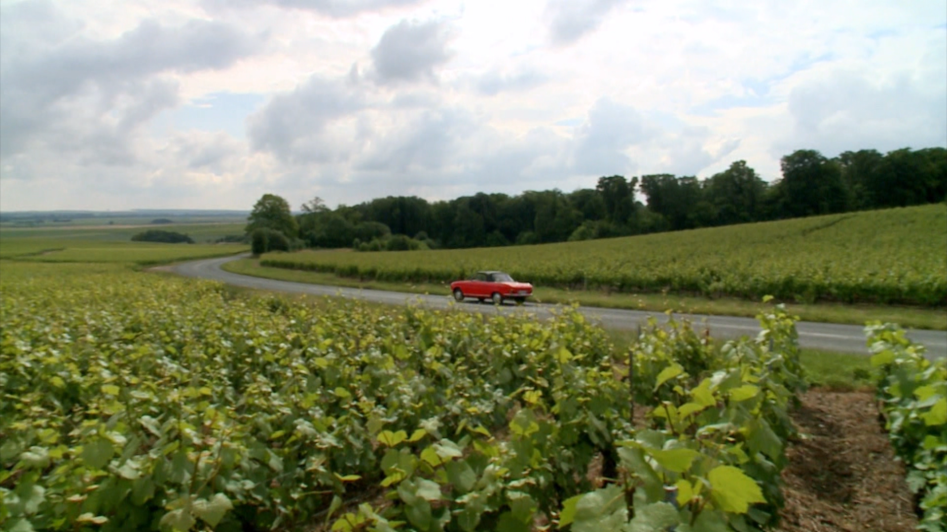 La route des vins