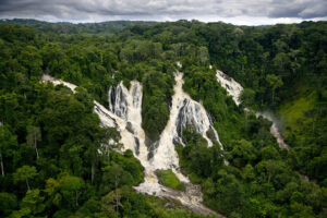 Les Héros de la Nature : Gabon - Partie 1