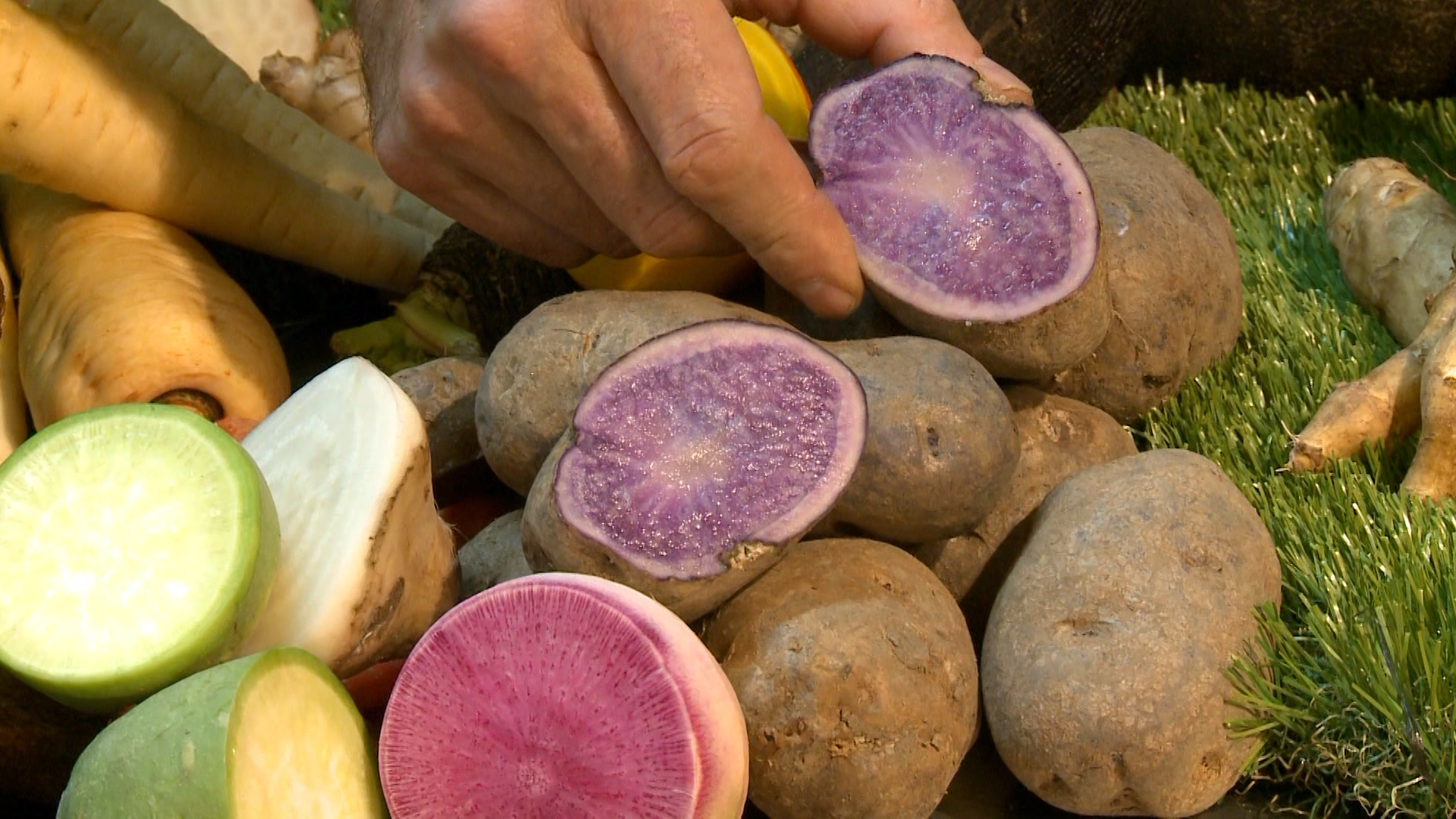 winter vegetables