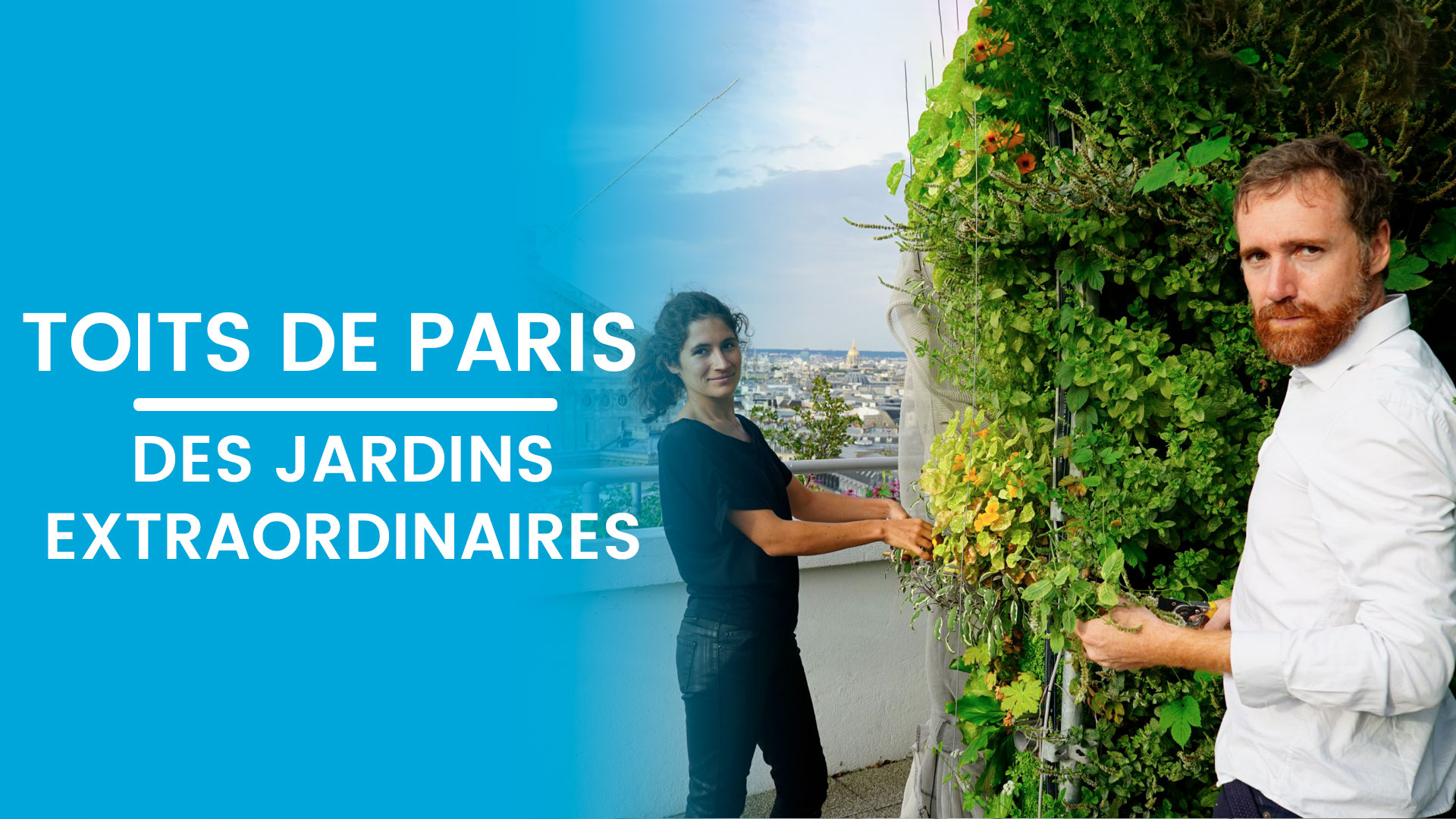 Toits de Paris, des jardins extraordinaires