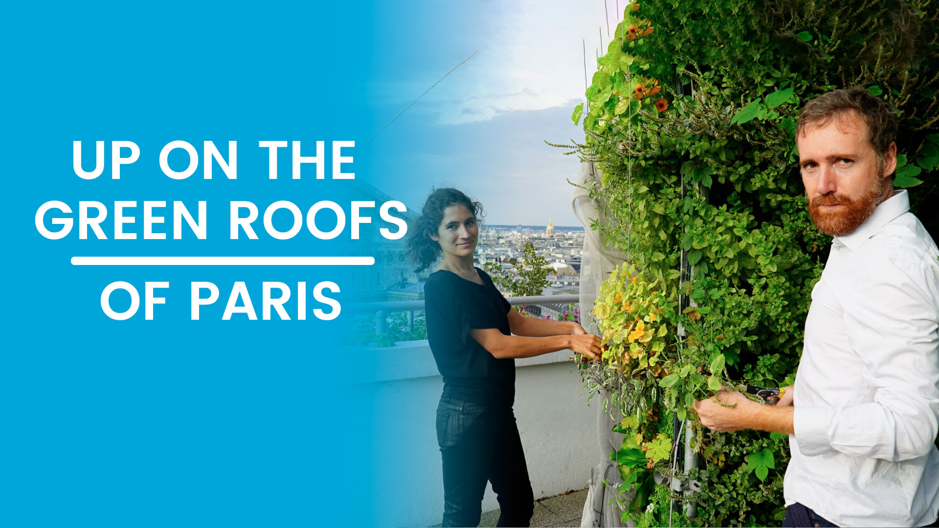 Up on the Green Roofs of Paris