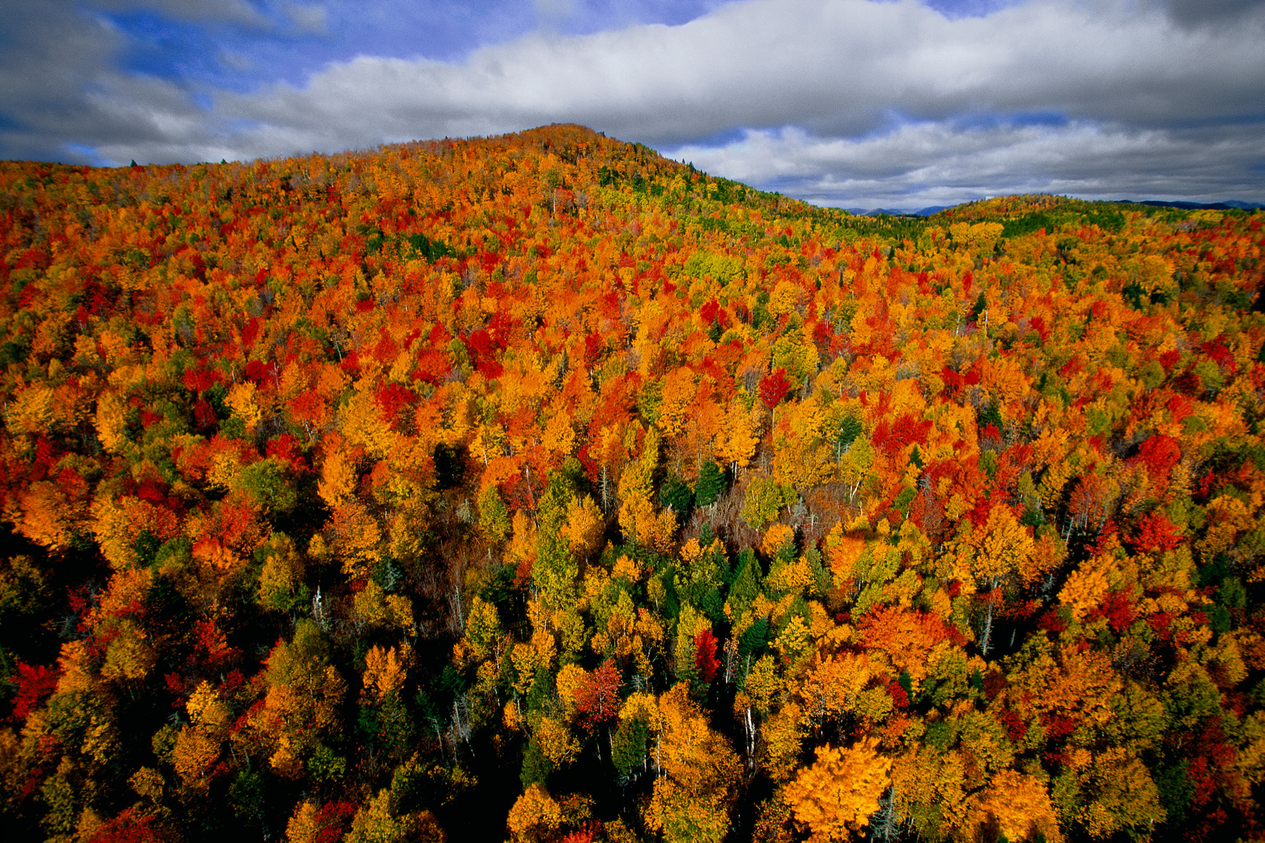 Les Héros de la Nature : Canada - Québec - Partie 1