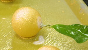 Recette du citron de Cedric Grolet
