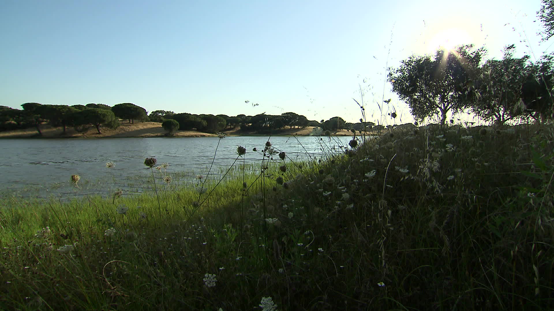Alentejo - Barrosinha