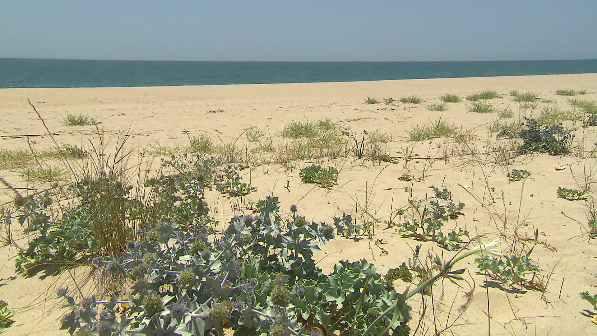 Algarve - Barreta island