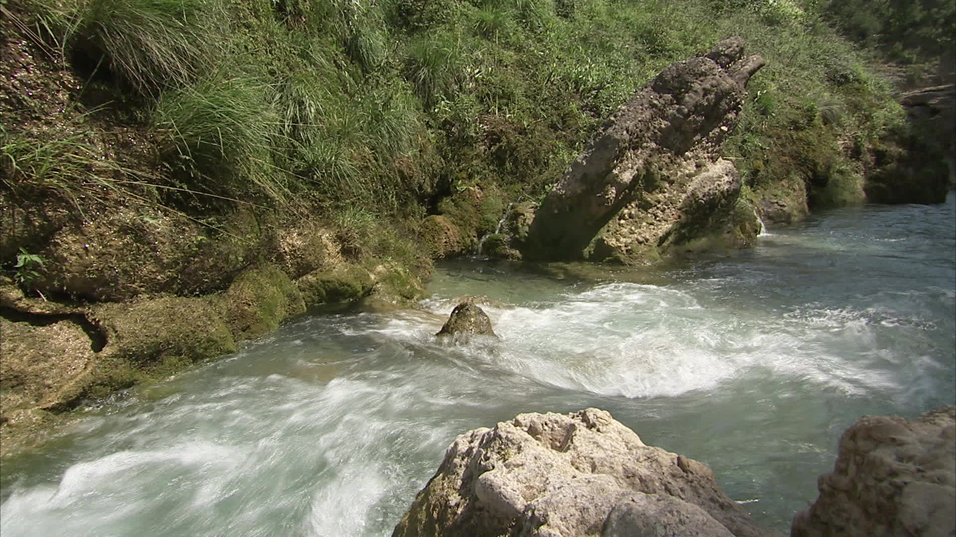 Aragon - Puntillo spring