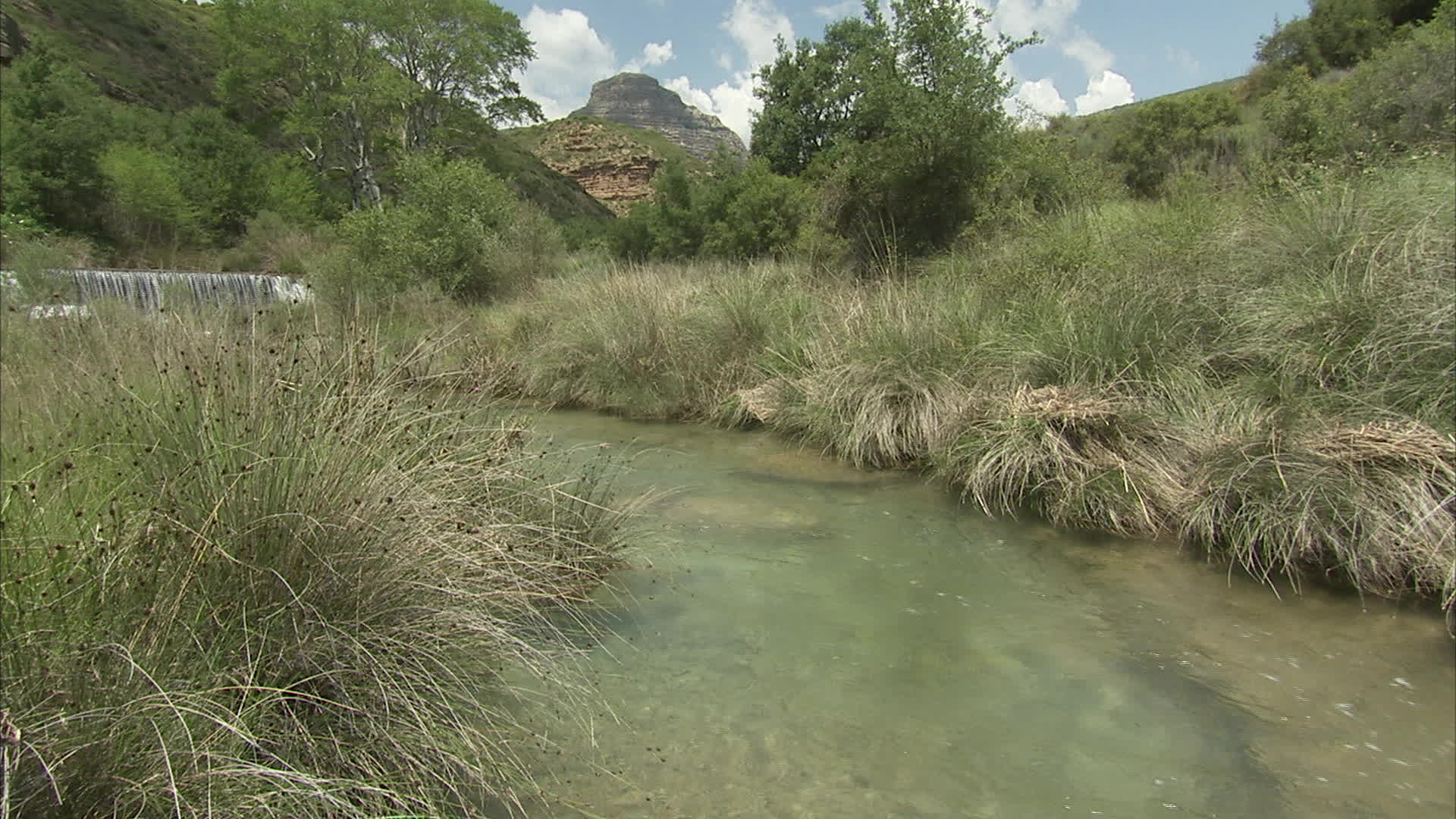 Aragon - fulnen river