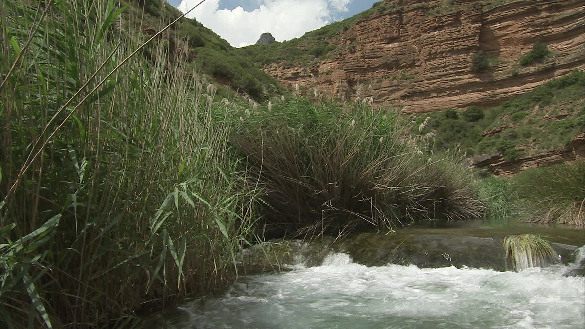 Aragon - Fulnen river