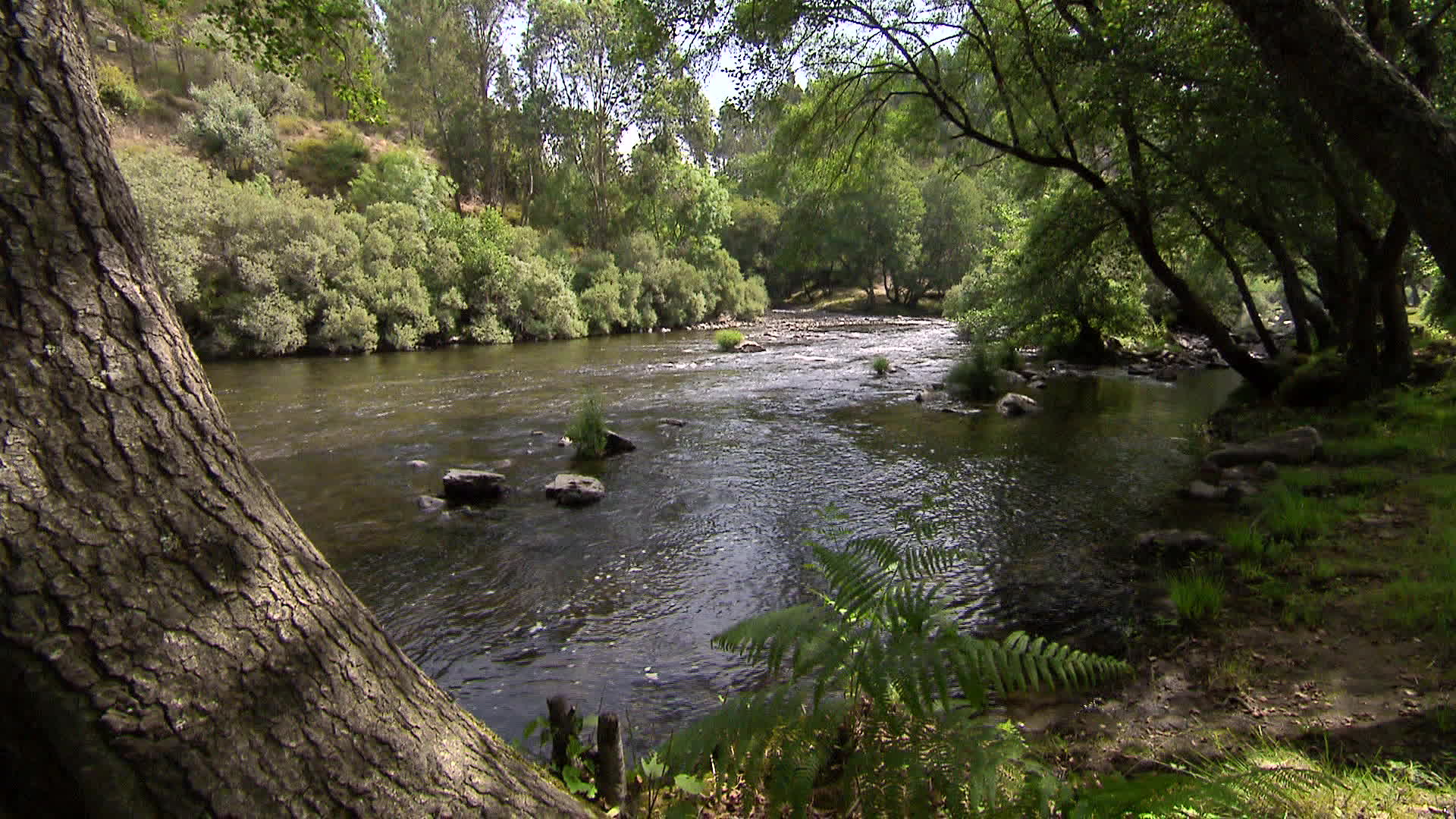 Beira - Espiunca river