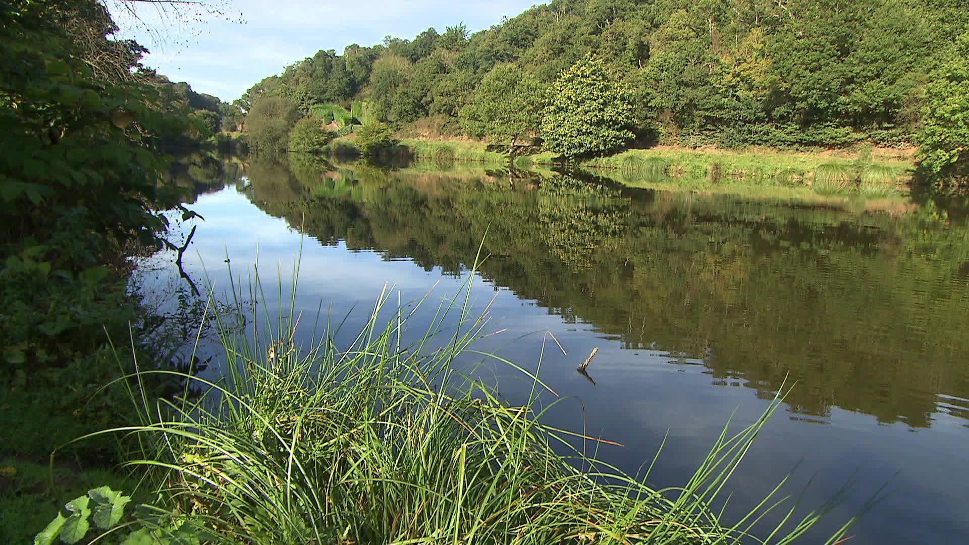 Brittany - Lantic pond