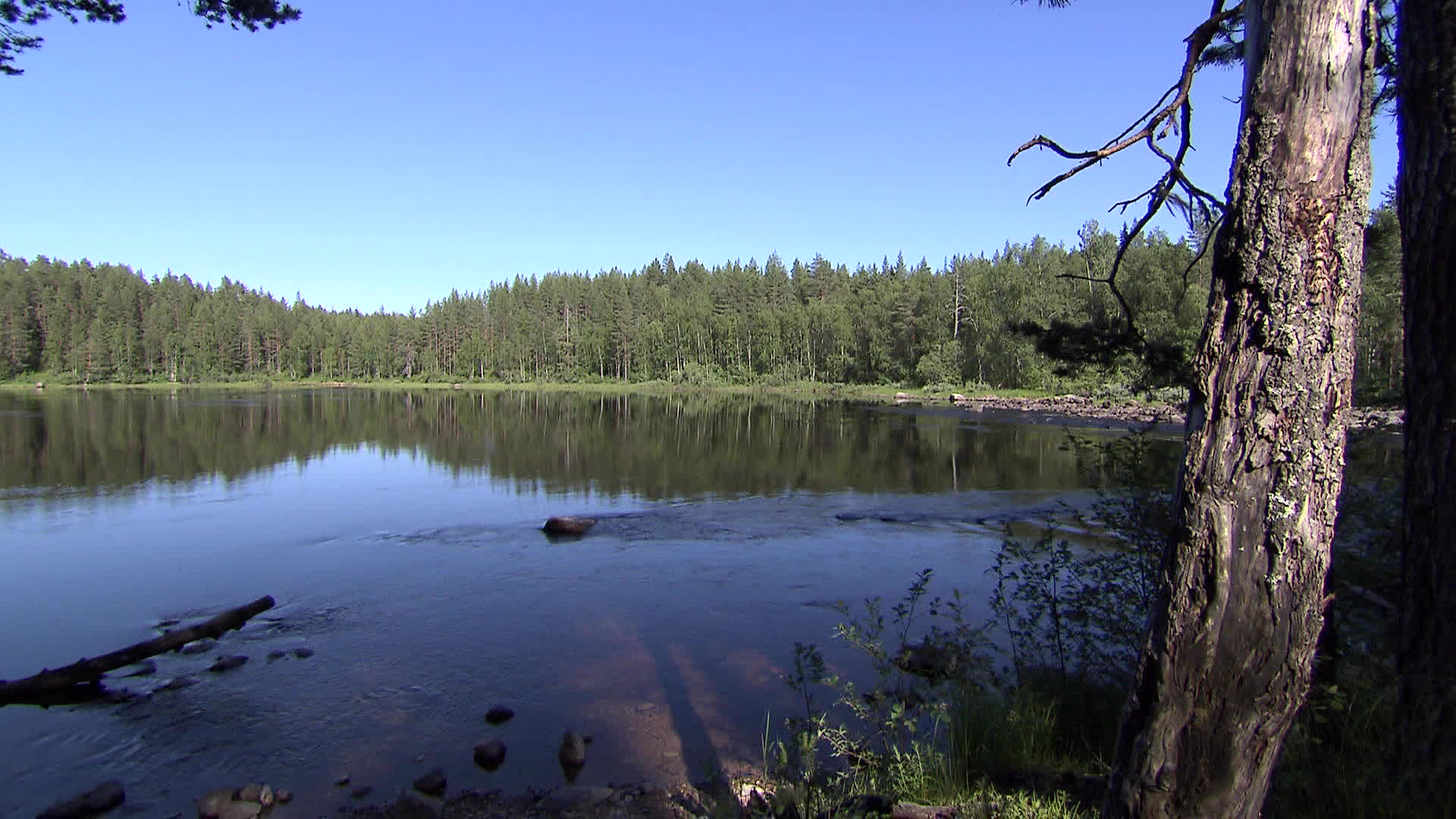 North Karelia - Haapavitja