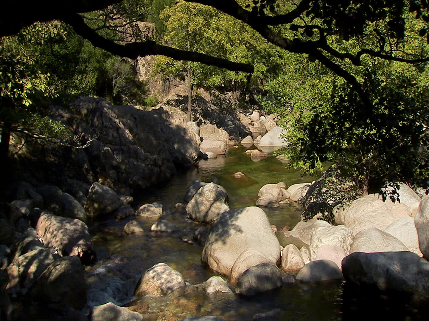 Corsica - Spelunca canyon
