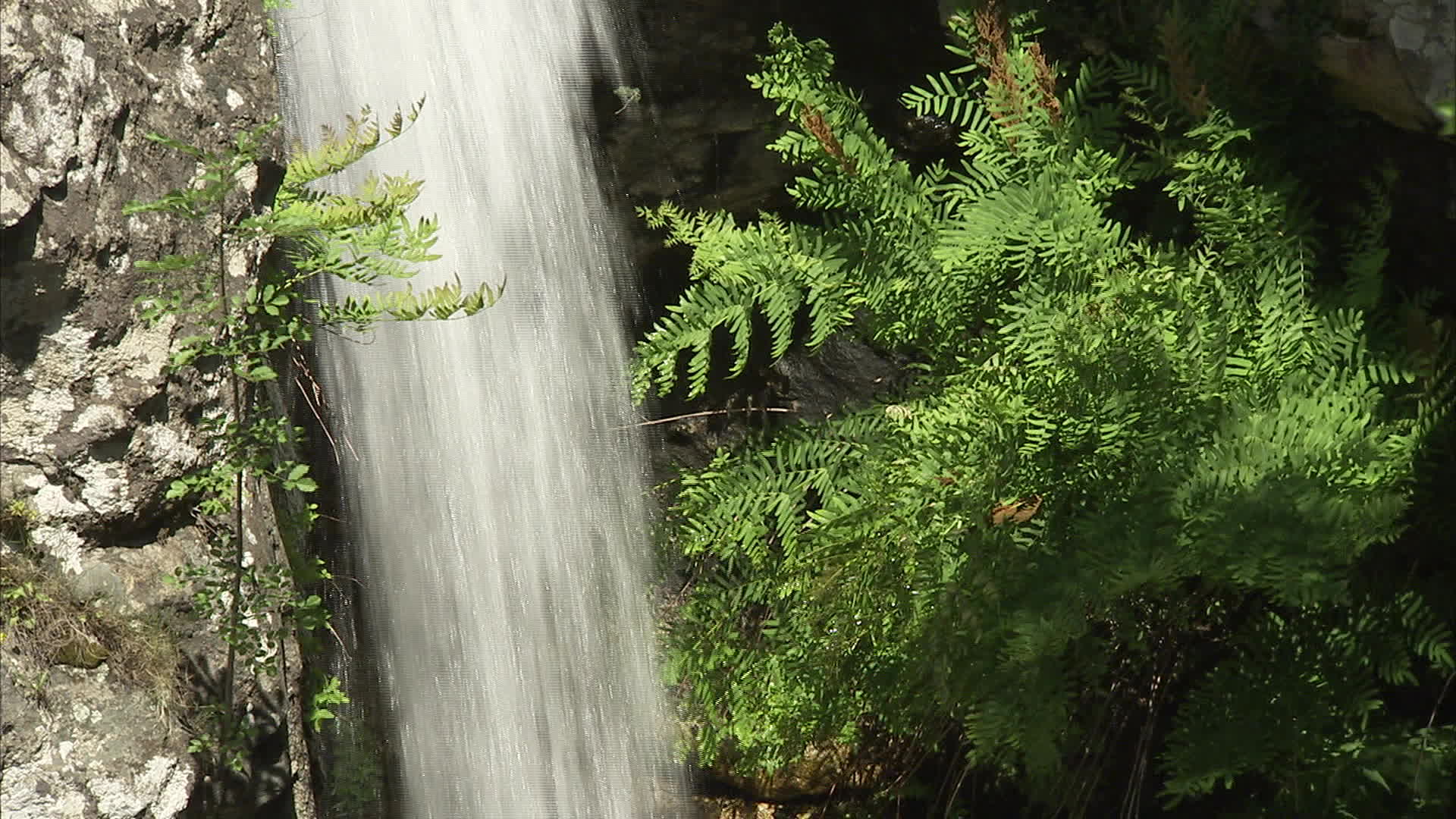 Corsica - Travu falls