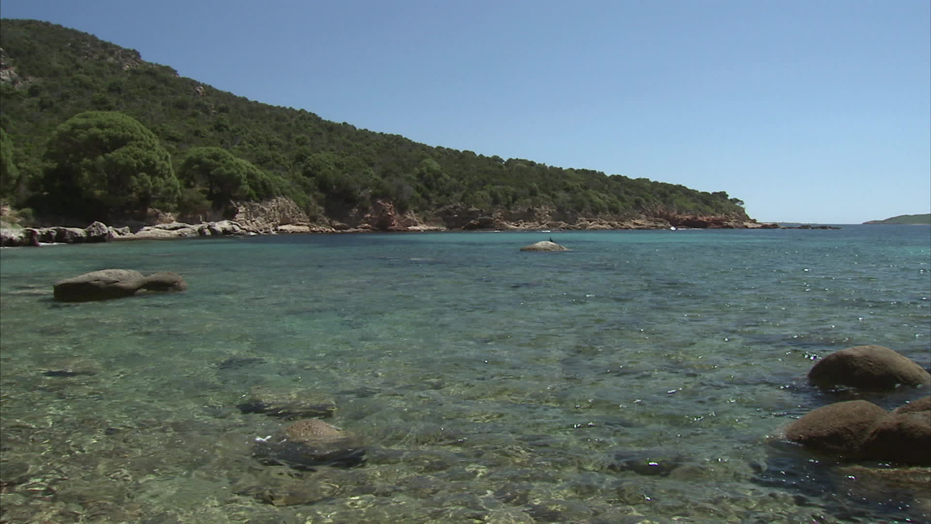Corsica - Forana cove