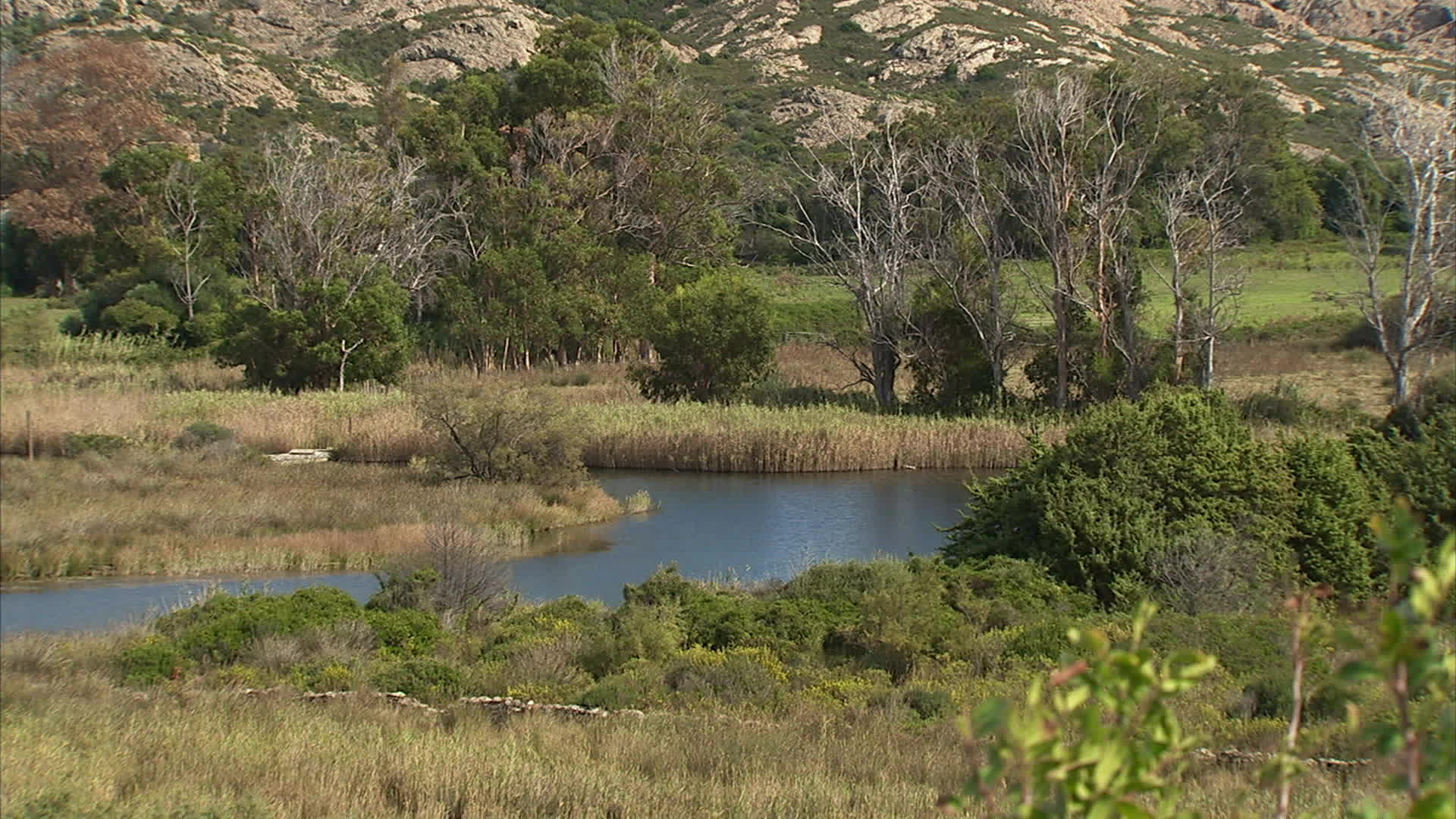 Corsica - Ostriconi pond