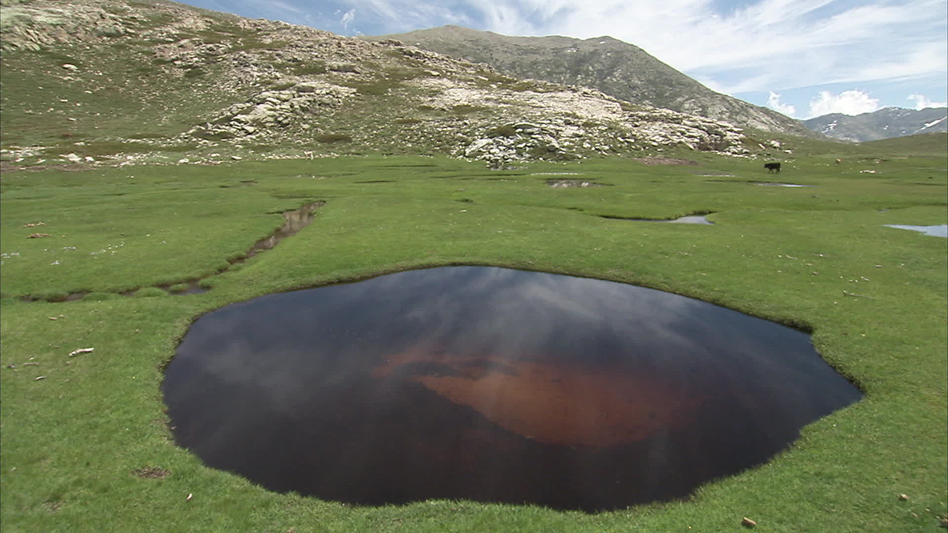 Corsica - Pozzi di Tavignanu
